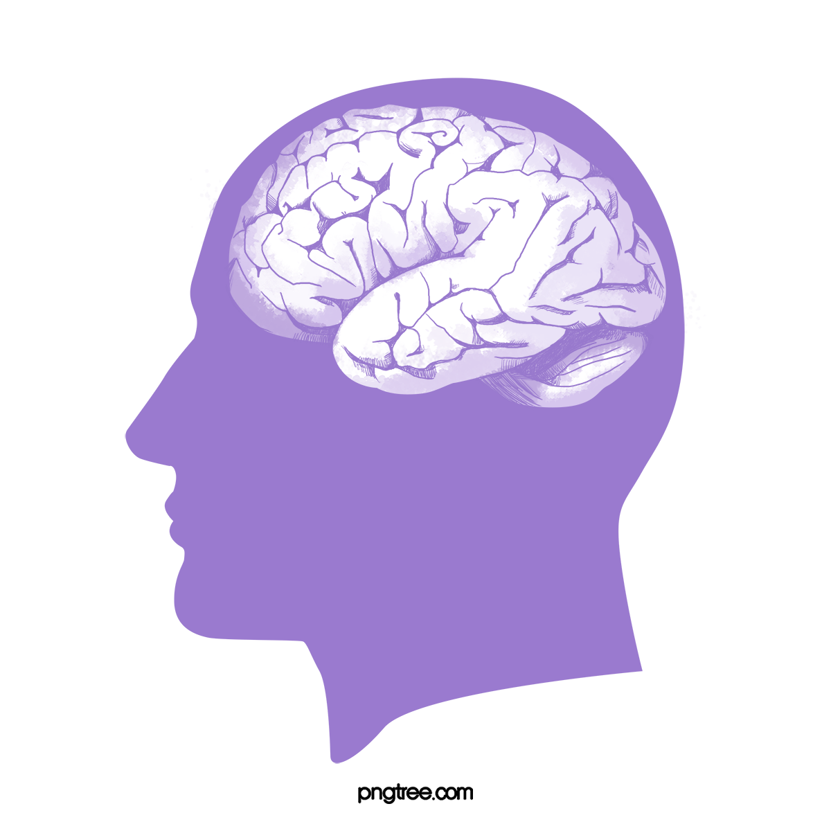 O Papel da Neuropsicologia